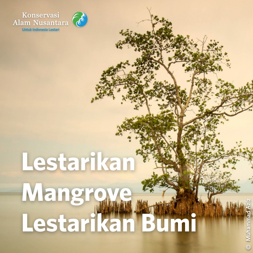 Lestarikan Mangrove, Lestarikan Bumi