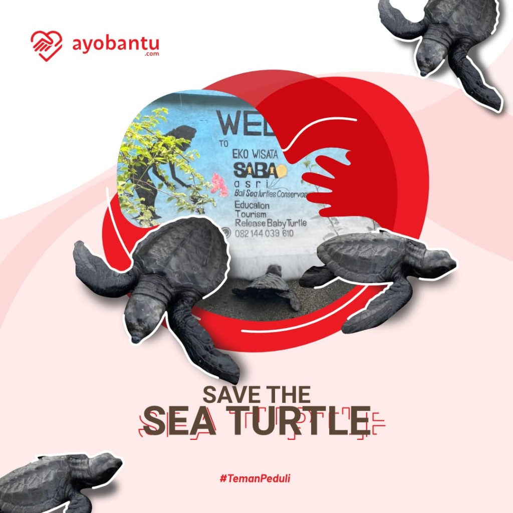Save The Sea Turtle
