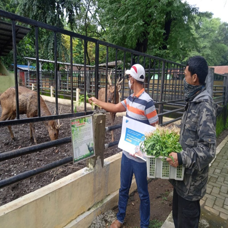 Patungan Pakan Satwa Kebun Binatang Seluruh Indonesia
