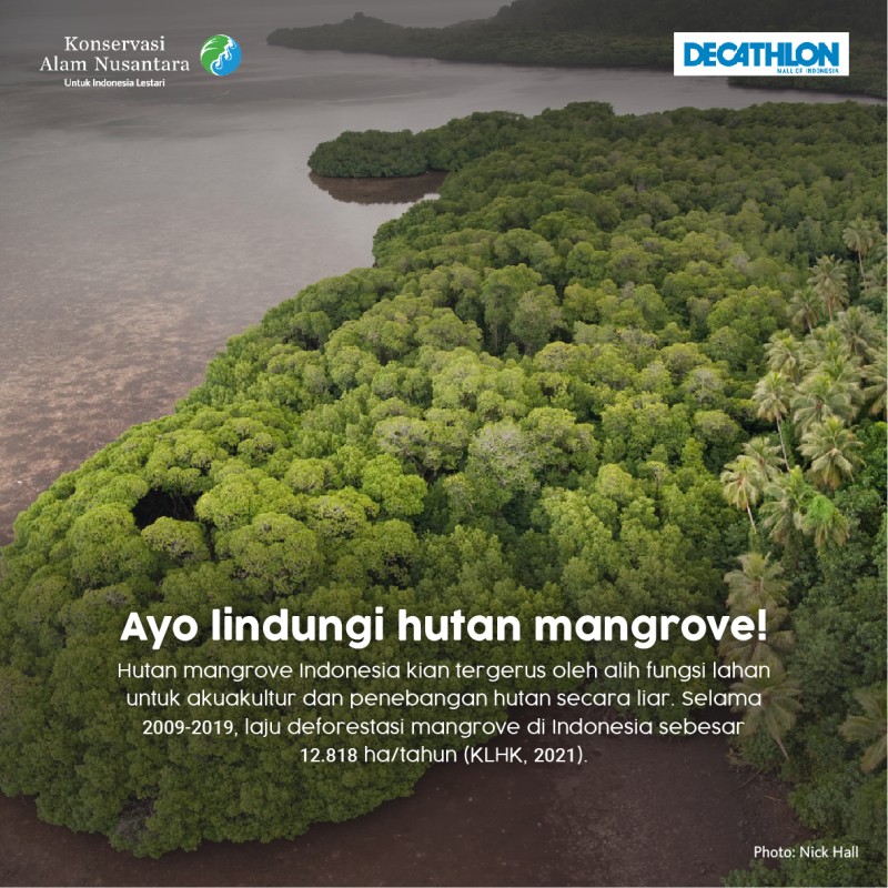 Run for Planet: Dukung 4000 Orang Berlari untuk Mangrove bersama YKAN dan Decathlon - Zulkifli