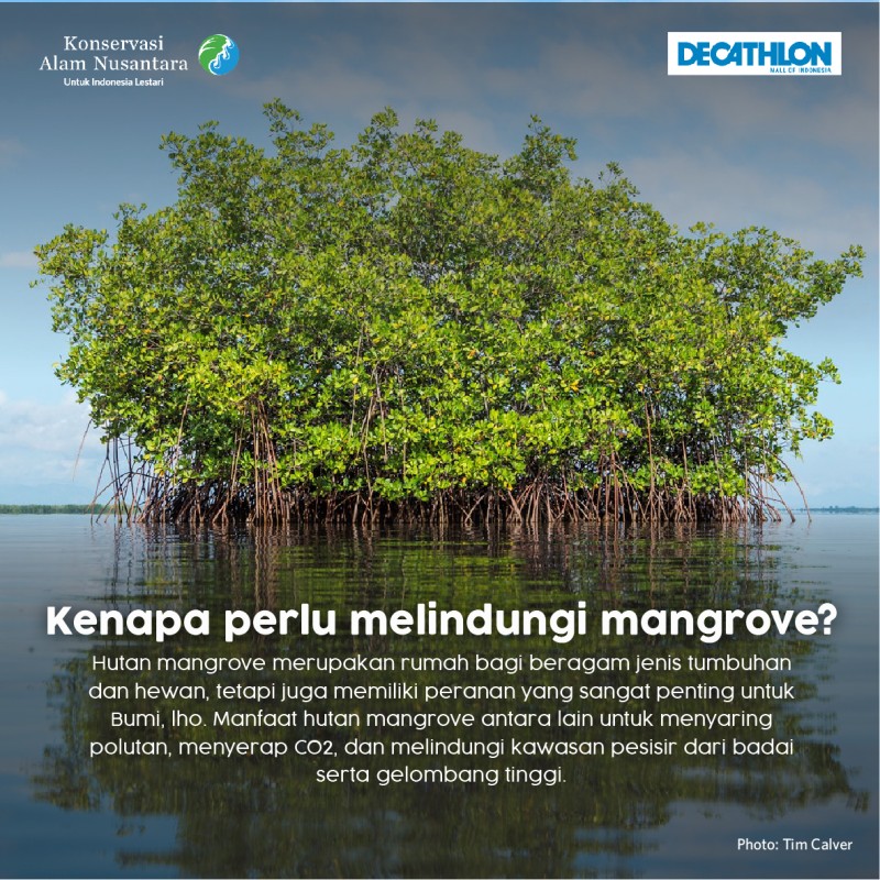 Run for Planet: Dukung 4000 Orang Berlari untuk Mangrove bersama YKAN dan Decathlon - Abiyoga