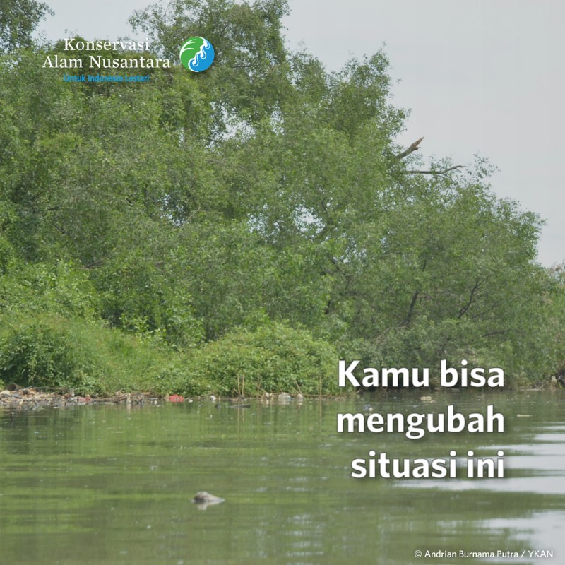 Jaga Hutan Mangrove Bersih dari Sampah